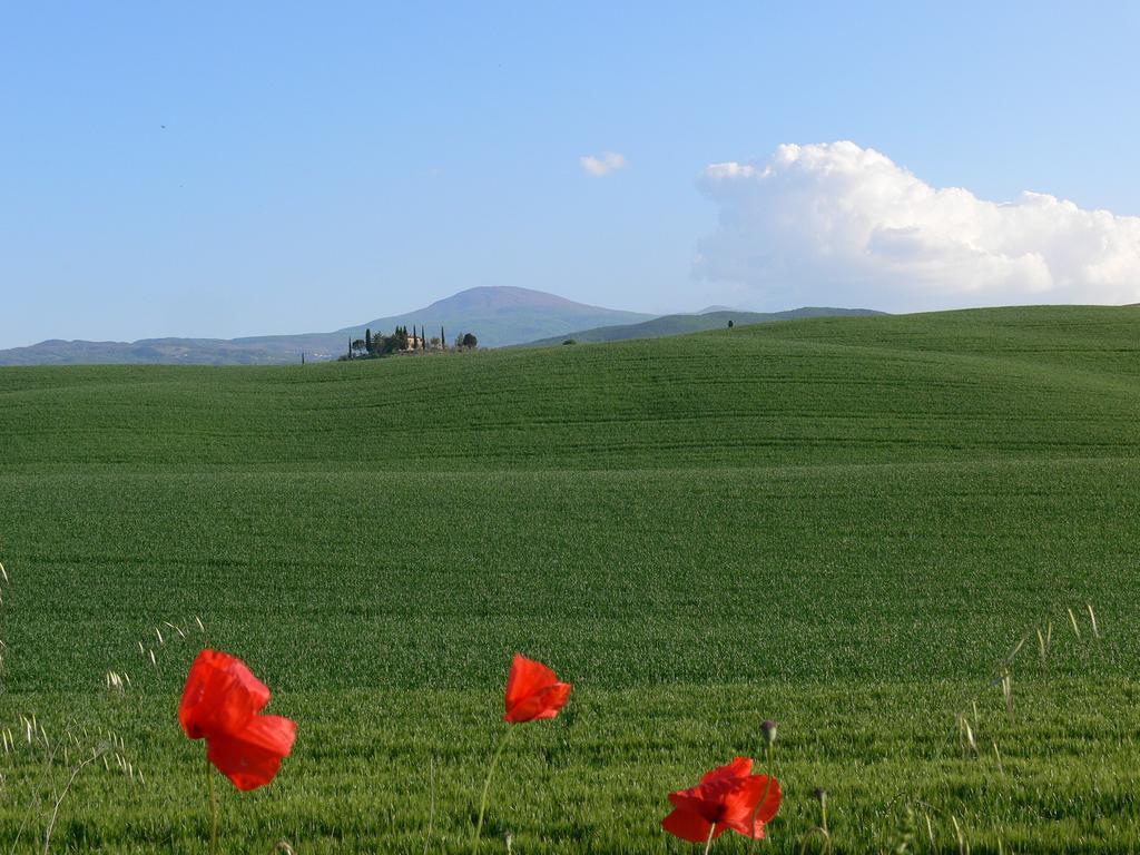 Le Rogheta Villa Campiglia d'Orcia ภายนอก รูปภาพ